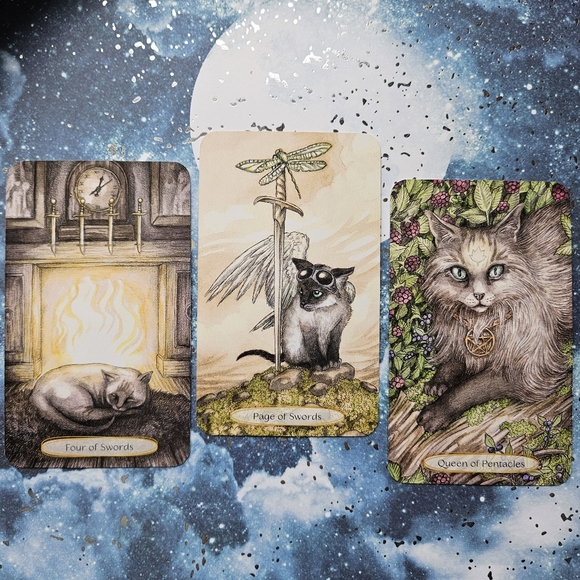 Meet your Posher, Julie - Picture 1 of 1